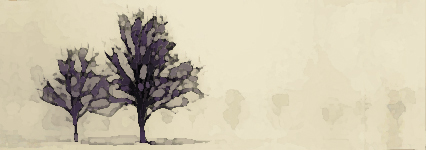 If A Tree Falls